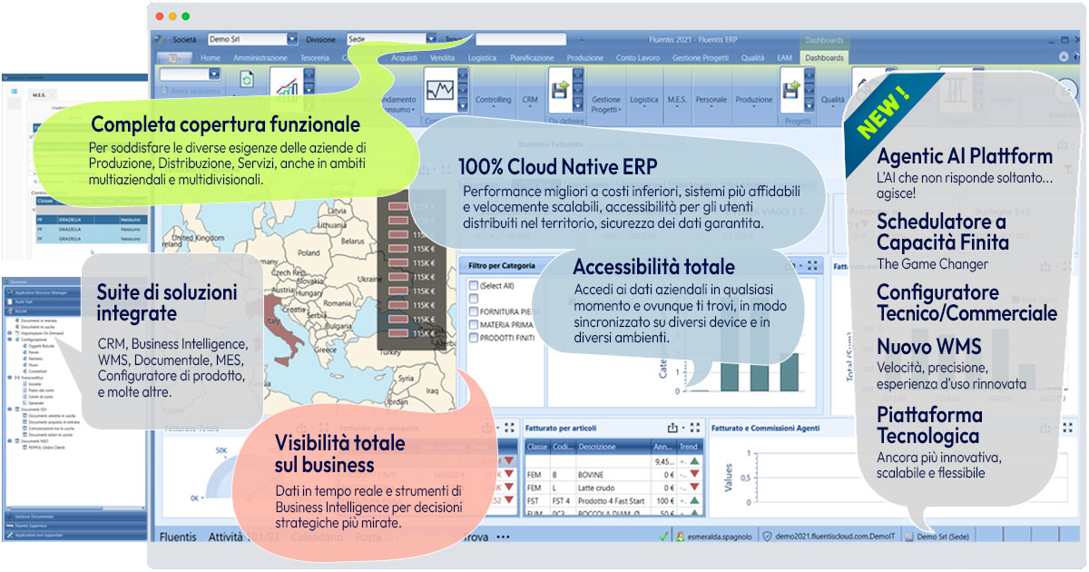 Fluentis ERP punti di forza